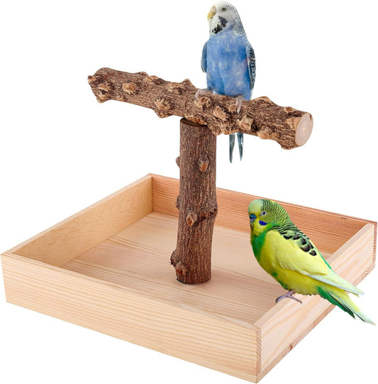 Bird Perch, Portable Tabletop Bird Stand, Training Play T Shaped Stand for Parrot Parakeet Cockatiels Conures Budgies Finch Lovebirds