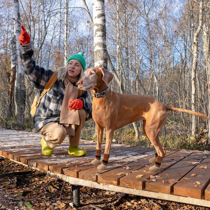 SCENEREAL Dog Socks to Prevent Licking Paws for Hardwood Floors Anti Slip, Dog Grippy Socks Shoes for Senior Small to Large Dogs, Dog Boots & Paw Protectors for Hot/Cold Scratching Pavement