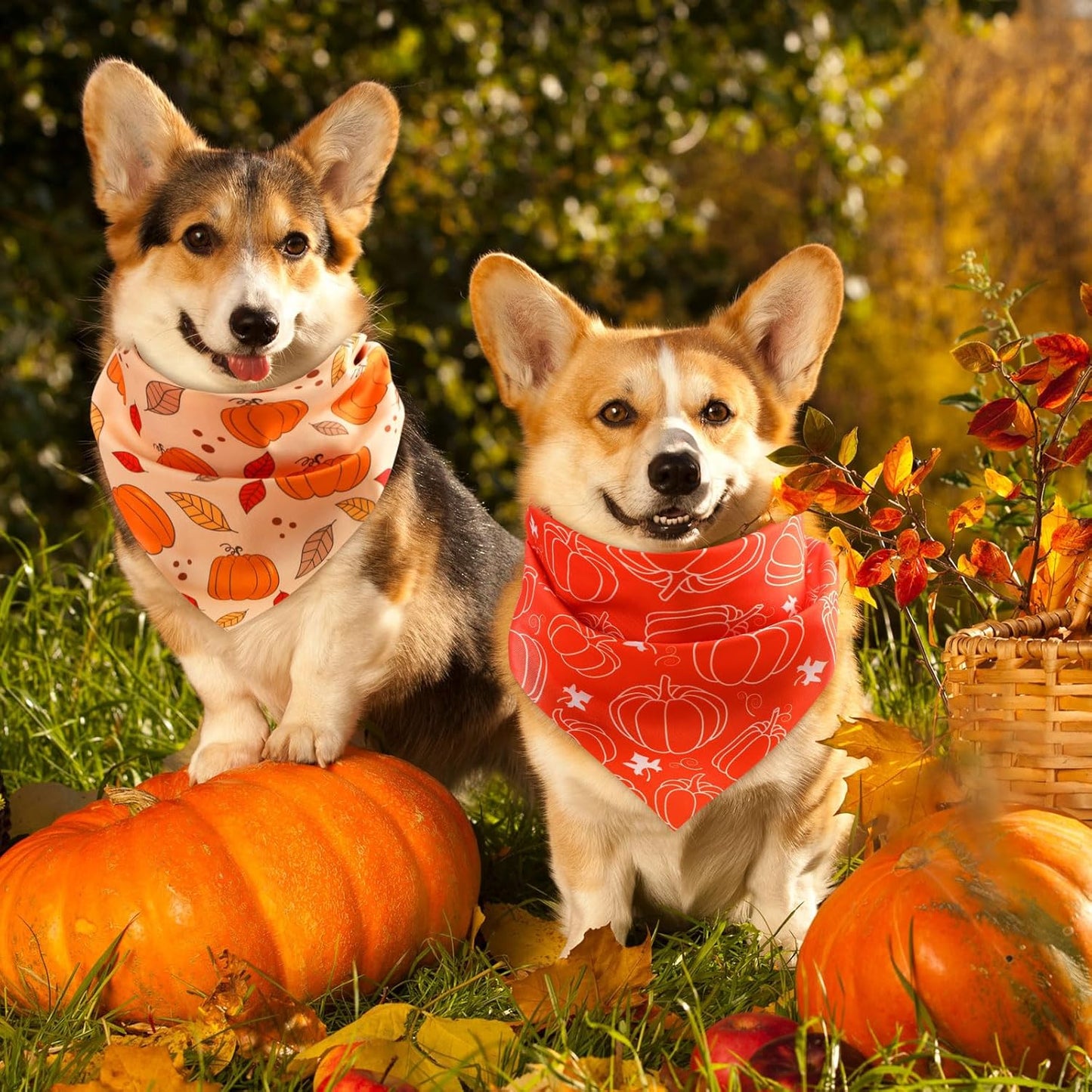 Abbylike 50 Pcs Fall Thanksgiving Dog Bandana Bulk Pumpkin Bandana for Dogs Triangle Kerchief Bib Scarf for Pets Autumn Costume Photo Props Accessories Pet Shops, 25 Styles (25.6 x 17.7 x 17.7)