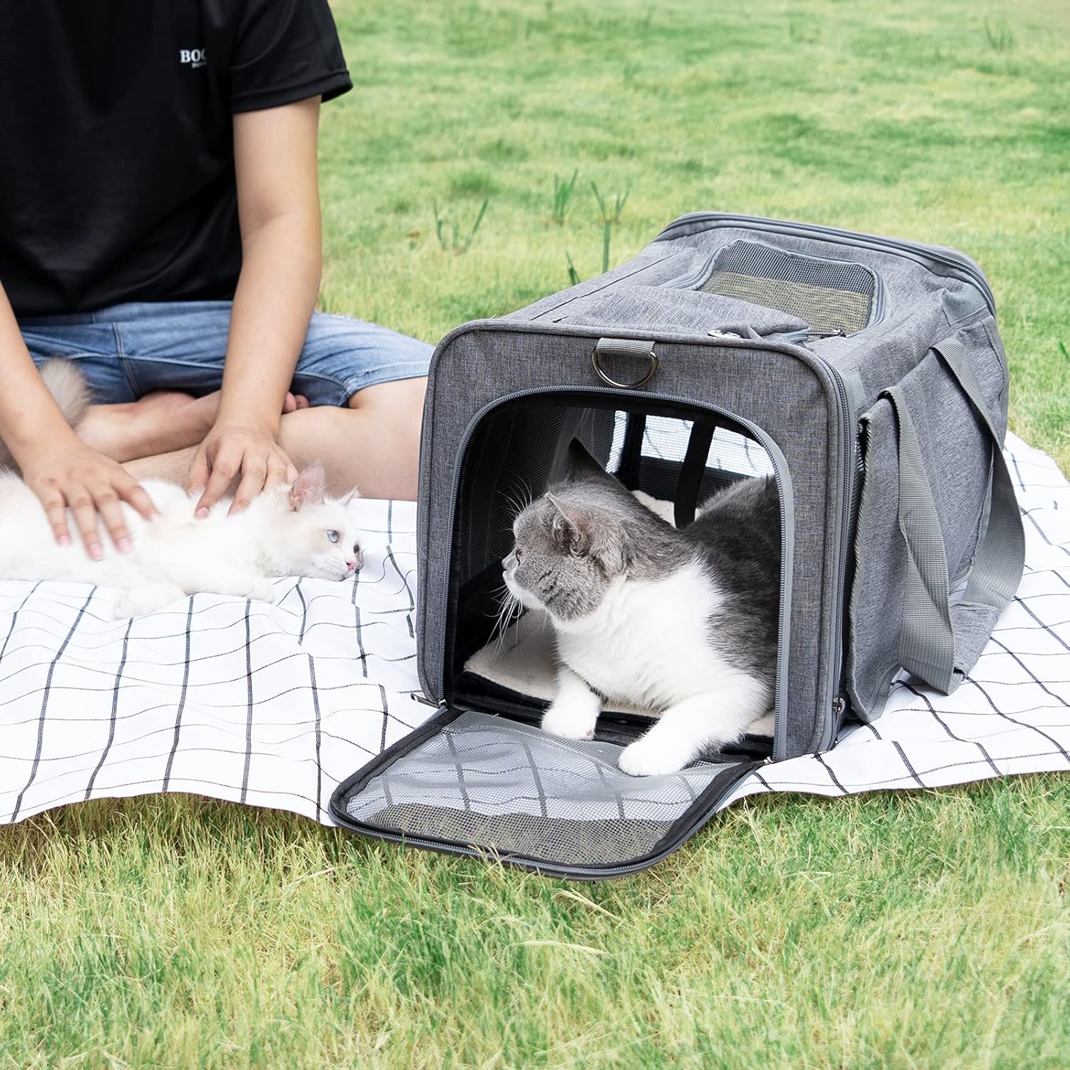Pet Carrier for Large Cats, Soft-Sided Cat Carrier for Medium Big Cats and Puppy up to 20lbs, Washable Dog Carrier Privacy Protection for Home Outdoor Travel - Pawvie