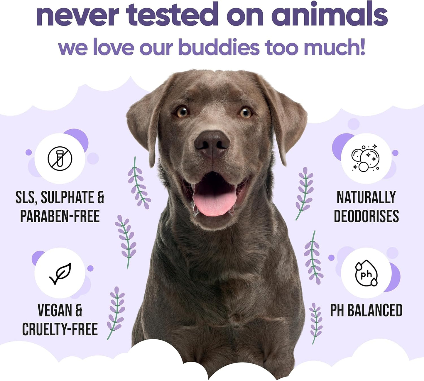 Calming & Deodorising Dog Shampoo by Buddycare | Lavender Scented | with Aloe Vera and Pro Vitamin B5 (50.72oz)