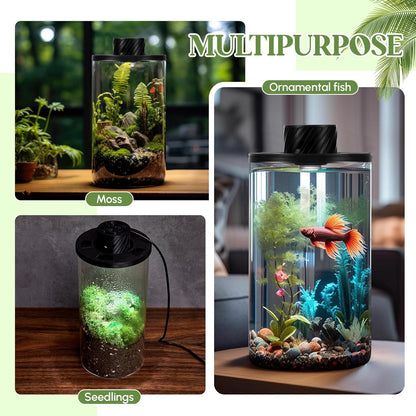 Maxdot Glass Plant Terrarium Kit with Light for Succulent, Moss, Miniature Gardening Landscape, Betta Fish Tank, Office Home Decoration, Plant Lovers Gifts (7.9 x 3.9 Inch)