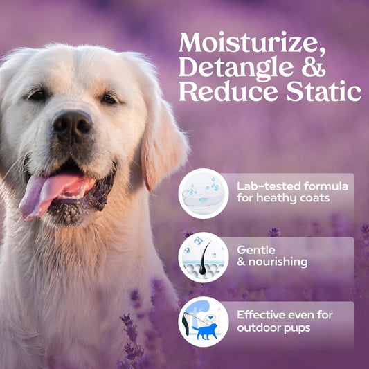 PAWFUME Dog Detangler Grooming Spray, Royal Lavender, 2-Pack – Keeps Pups Fresh All Day – Hypoallergenic, Alcohol-Free, Detangling & Moisturizing – Salon-Quality Dog Necessities for Coat & Fur Care