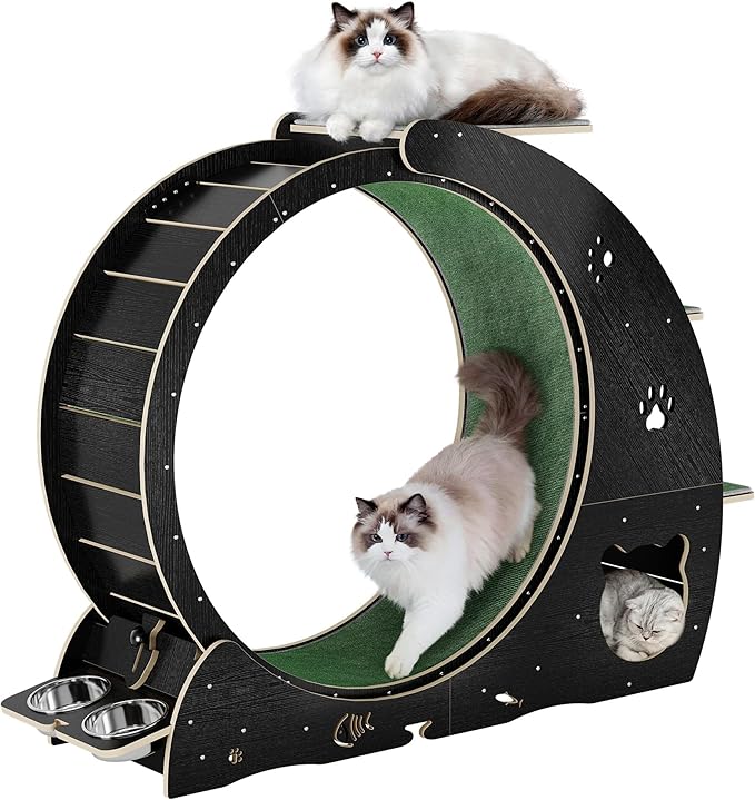 Cat Running Wheel for Indoor Cats, Large 6-in-1 Cat Treadmill with Bowls, Scratch Post & Resting House, Quiet Cats Wheel Exerciser for Kitty Fitness Black