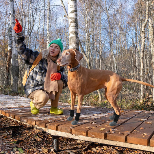 SCENEREAL Dog Socks to Prevent Licking Paws for Hardwood Floors Anti Slip, Dog Grippy Socks Shoes for Senior Small to Large Dogs, Dog Boots & Paw Protectors for Hot/Cold Scratching Pavement