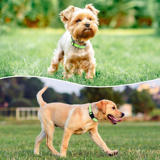 Reflective Dog Collar Padded with Soft Neoprene Breathable Quick Release Basic Dog Collars for Large Dogs Green Boy Girl