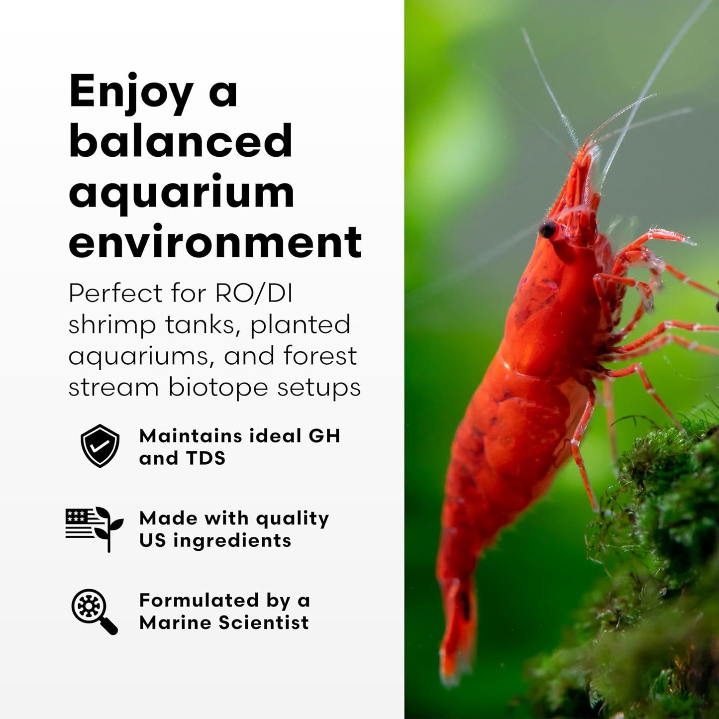 Brightwell Aquatics Caridina GH+ Mineral Supplement Restores Calcium Magnesium Potassium Sodium in Soft RO/DI Water for Shrimp Breeding and Plant Health, 125 ml