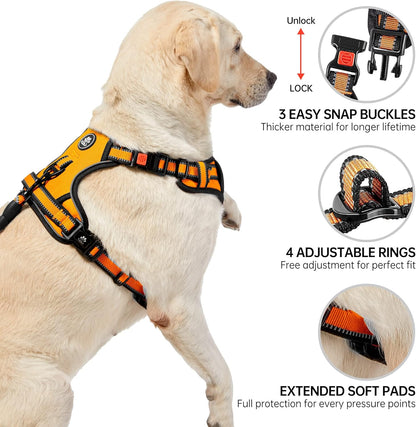 NESTROAD No Pull Dog Harness,Adjustable Oxford Dog Vest Harness with Leash,Reflective No-Choke Pet Harness with Easy Control Soft Handle for Small Dogs(Small,Orange)