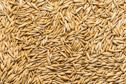 Thunder Acres Non GMO, Certified Organic, Oat Seed (2 lb.)