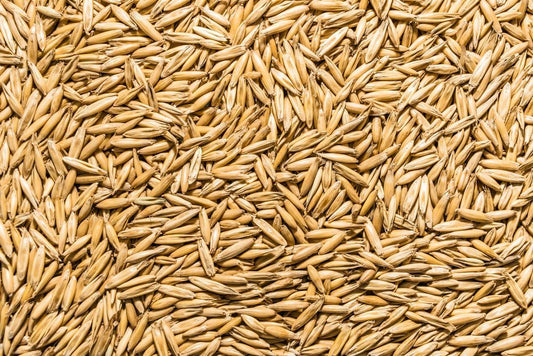 Thunder Acres Non GMO, Certified Organic, Oat Seed (1/2 lb.)