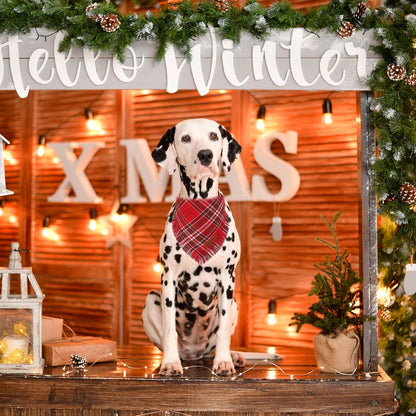 ADOGGYGO Christmas Dog Bandanas with Tassels Edges, Stylish Red Plaid Xmas Scarf, Multiple Sizes, Christmas Bandanas for Medium Large Dogs (Large)