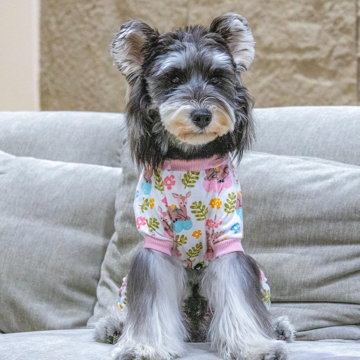 CuteBone Small Dogs Outfit Soft Puppy Onesies Pjs Dog Pajamas Pet Coat Cat Apparel Comfy Doggie Jumpsuit Bodysuit for All Seasons P286S