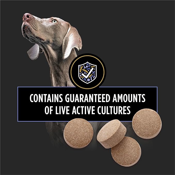 Purina Pro Plan Veterinary Supplements FortiFlora Daily Probiotics for Dogs Chewable Tablets for Digestive Gut Health and Diarrhea - 45 ct. Canister