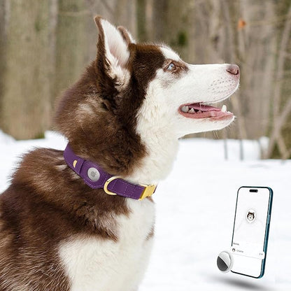 Leather Airtag Dog Collar - Soft Tracking Dog Collar with Apple AirTag Holder and Metal Buckle - Safety GPS Pet Collars for Small Medium Large Dogs Puppy Pink Red (Purple, XS, 9"-12" Neck Fit)