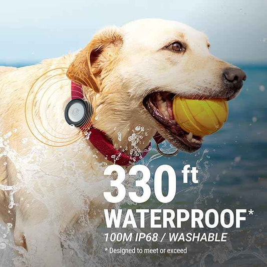 Catalyst Waterproof AirTag Dog Collar Holder - Unbeatable Protection with Clip-on AirTag Holder Case, IP68 100X More Waterproof, Dropproof, Shock Proof - for Pet Straps Up to 30mm Wide (Clip-It)