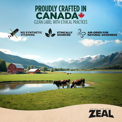 ZEAL Canada Air-Dried Salmon & Duck Recipe for Dogs - Superfood Omega-3 Rich, Dual-Protein, Grain Free, No Fillers, Complete Nutrition (Salmon & Duck, 1 lb)