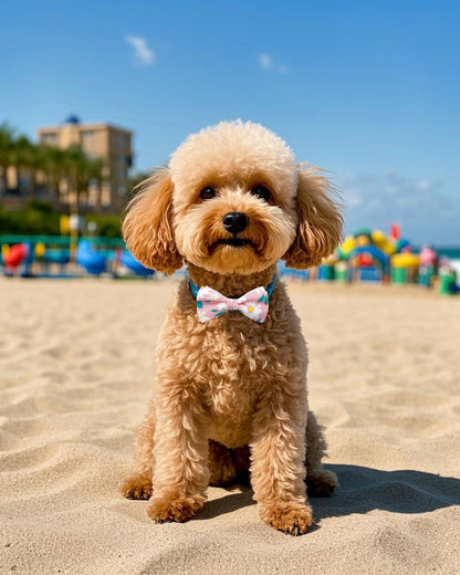 PET SHOW 10 Pack Floral Small Dog Bow Ties Sliding Collar Attachments Puppy Cats Spring Bowties for Medium Dogs Daisy Rose Bowknots Party Holiday Pet Grooming Accessories