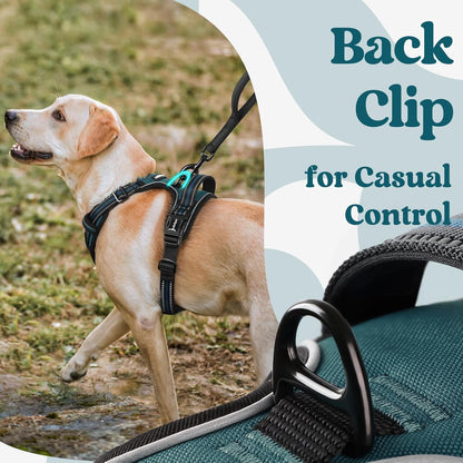rabbitgoo Dog Harness Small Sized, No Pull Pet Harness with 3 Buckles, Adjustable Soft Padded Vest with Control Handle, Walking Reflective Pet Vest for Small Dogs, Blue Coral, S