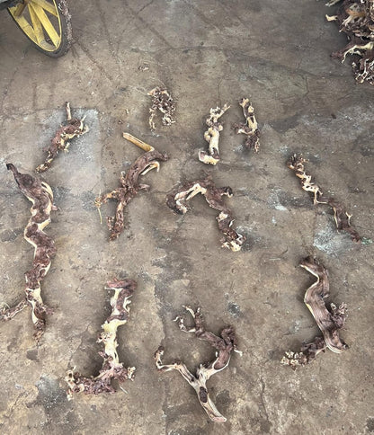 Small Natural Driftwood for Aquarium Styling Carefully Selected Natural Aquarium Decor Driftwood for Reptile Tank Reptile Tank Wood Decor (2pcs grapewood Branch 10-12inch)