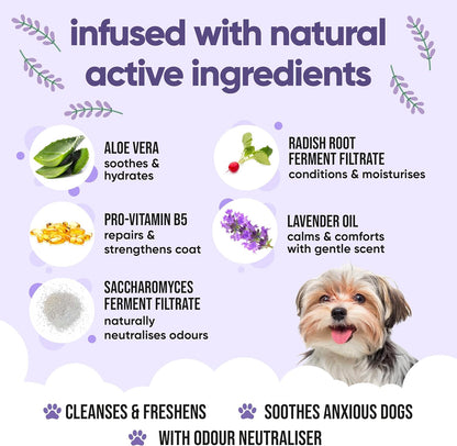 Calming & Deodorising Dog Shampoo by Buddycare | Lavender Scented | Itchy Skin Relief for Smelly Dogs | Deep Cleansing Shampoo for Dogs Puppy Sensitive Skin | with Aloe & Vitamin B5 (16.90oz)