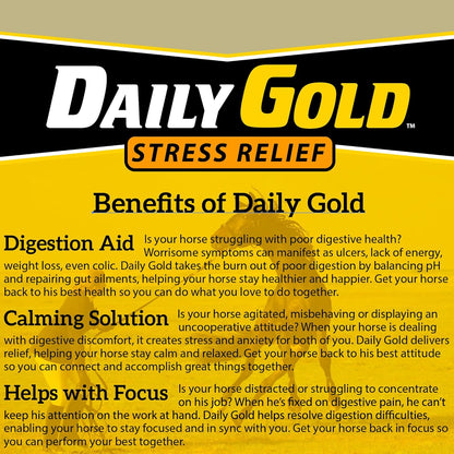 Redmond Daily Gold Natural Healing Clay for Gastric Ulcers in Horses (Stress Relief Pre-Race Paste) (3 - Pack)