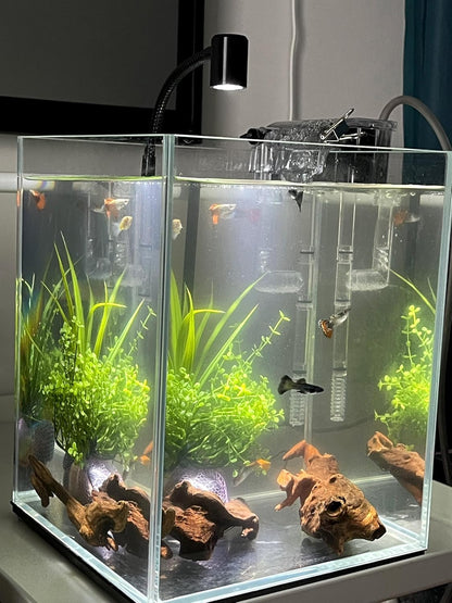 Small Natural Driftwood for Aquarium Styling Carefully Selected Natural Aquarium Decor Driftwood for Reptile Tank Reptile Tank Wood Decor (Driftwood 4-6inch 4pcs)