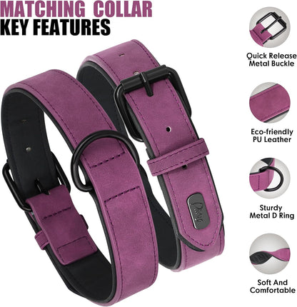 Didog Soft Padded Leather Dog Collar and Leash Set, Heavy Duty Dog Leash and Collar Set with Metal Buckle, Breathable Dog Collars with 4FT Leather Dog Leash for Small Medium Large Dogs, Purple, XL