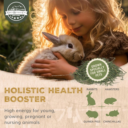 5lb Freshly Dried Organic Alfalfa Hay for Guinea Pigs, Rabbits, Chinchillas, Goats, Hamsters & Ferrets, Small Animal Food Rich in Protein & Fiber, Hand-Selected, Hand Sorted, USA Grown