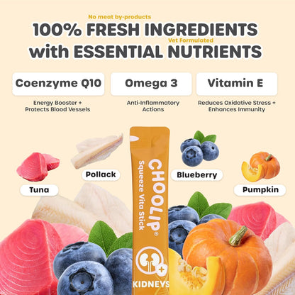 Grab & Go Squeeze Vita Stick Lickable Treats for Dogs & Cats. 49 Kidney Support Sticks with Essential multivitamins. Soft and Tasty Paste for All Life Stages, Supporting Kidney Health