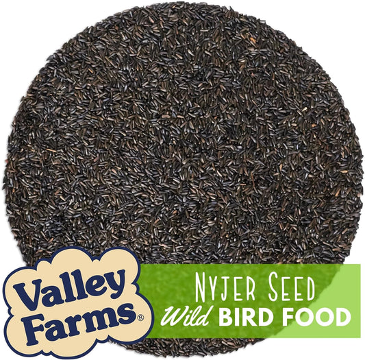 Valley Farms Nyjer Seed Wild Bird Food (4 LB) for Outside Feeders, Thistle Bird Seed for Outside Feeders, Great for Wild Finch!