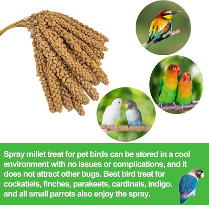 RANZ 5LBS Millet Spray for Birds, GMO-Free, Sun Dried Spray Millet, Original Bird Treats & Supplement for Parrots, Cockatiels, Lovebirds, Painted Buntings and Finches, Parakeets Food