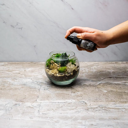 Cute Farms Glass Terrarium Kit | Just Add Your Own Plants (One Glass Bowl)