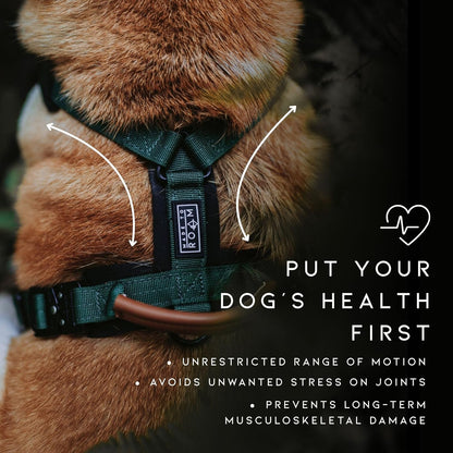 MADE TO ROAM Premium Explorer Harness - Y-Shaped Dog Harness with Adjustable Durable Nylon, Soft Padding, Metal Buckles and Leather Handle for Small, Medium, Large Dogs (Colorado Nightsky, Size 6)