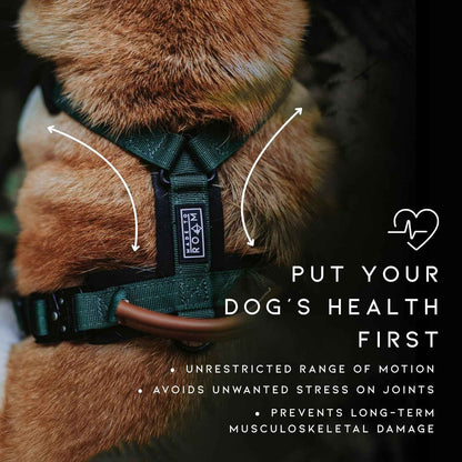 MADE TO ROAM Premium Explorer Harness - Y-Shaped Dog Harness with Adjustable Durable Nylon, Soft Padding, Metal Buckles and Leather Handle for Small, Medium, Large Dogs (Florida Seaside, Size 1)