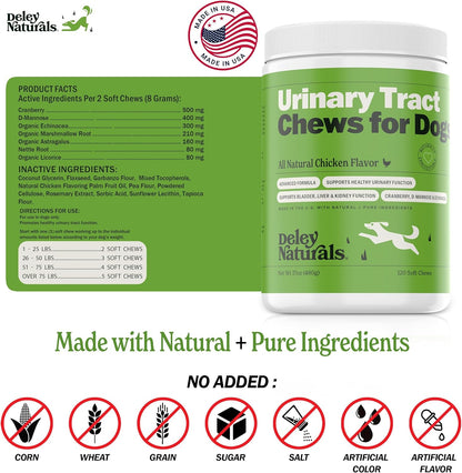 Deley Naturals Dog UTI Chews - Vet-Grade Cranberry Supplement for Dogs with D-Mannose & Echinacea for Bladder & Urinary Tract Health - Urinary Tract Supplements for Small to Large Breeds - 120 Chews