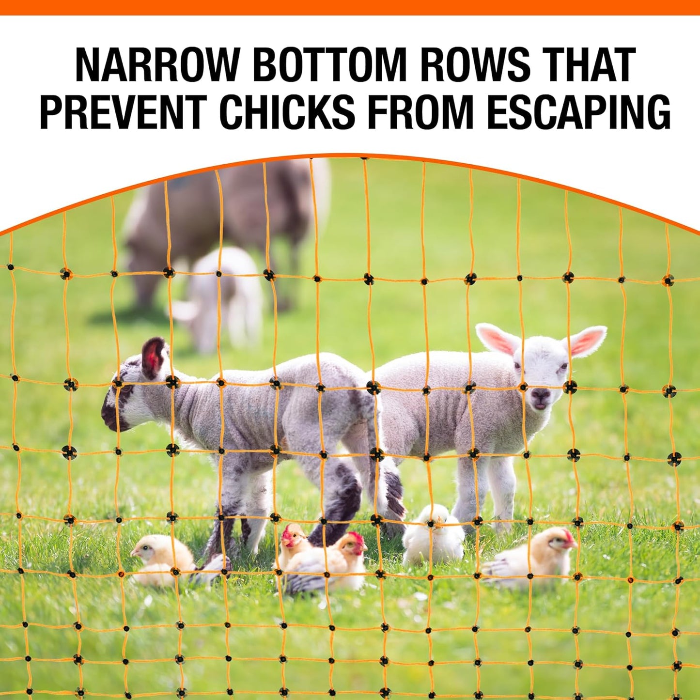 Pet & Livestock HQ Electric Fence Poultry Netting 41" x 164' - Portable Pre-Assembled Electric Net Fencing for Goats, Sheep, Lambs in Farms, Ranches, and Gardens (19 Posts, 2 Spikes)