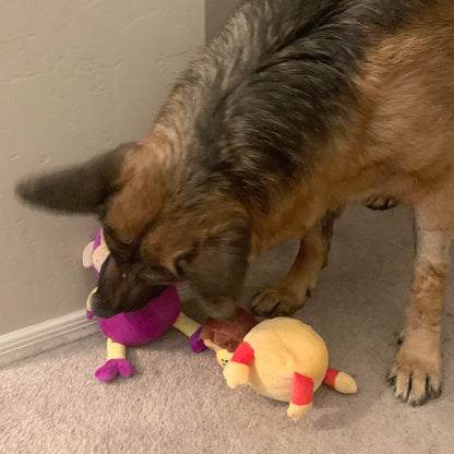 Jalousie Dog Squeaky Toys Value Set Non-Toxic Squeaky Balls Toss Fetch TPR Rubber Puppy Toys Spikey Dog Chew Toy for Small Medium Breed Pet Toys for Puppy (3 Pack 2-in-1 Plush)