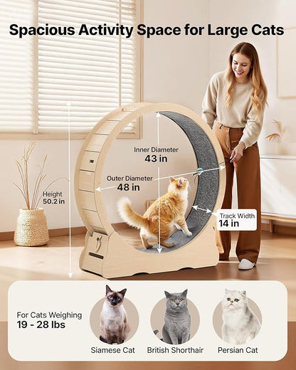 VEVOR Cat Exercise Wheel, 48 in Wooden Cat Running Wheel for Indoor Cats up to 28 lbs, Cats Treadmill with Carpeted Runway & Locking Mechanism, Quiet Roller Kitten Sport Toys for Pets Fitness & Health