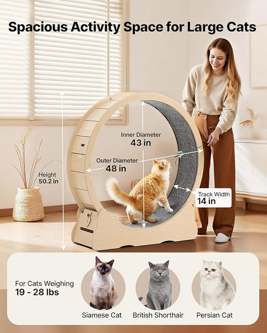 VEVOR Cat Exercise Wheel, 48 in Wooden Cat Running Wheel for Indoor Cats up to 28 lbs, Cats Treadmill with Carpeted Runway & Locking Mechanism, Quiet Roller Kitten Sport Toys for Pets Fitness & Health