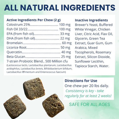 Under the Weather Allergy & Itch Pet Allergy Chews for Dogs | Vet Formulated Skin Support for Canines | Soothing Dog Allergies and Itching Relief Supplement | 60 Count