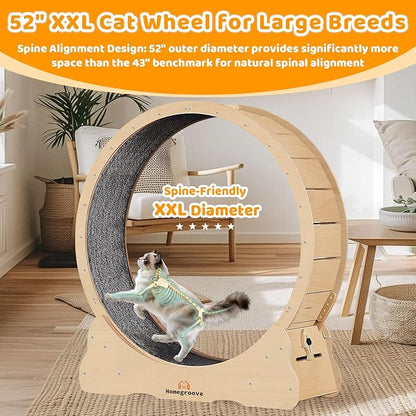 Homegroove XXL Cat Exercise Wheel, 52"/132cm Large Cat Wheel, Solid Wood Cat Treadmill with Integrated Safety Lock, Spine Alignment Design for Large Indoor (XXL, Natural Wood)