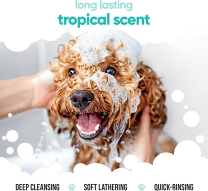 Tropical Dog Shampoo by Buddycare | Deep Cleansing Shampoo for Dogs | Tropical Scented | with Aloe Vera and Pro Vitamin B5 (169.07oz)