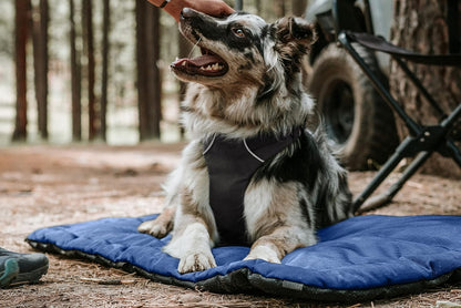 K9 Ballistics Tough Ripstop Dog Crate Pad - Durable & Machine Washable with Non-Skid Bottom and 120-Day Warranty, Fits 48" Wire Crates - X-Large, Sandstone