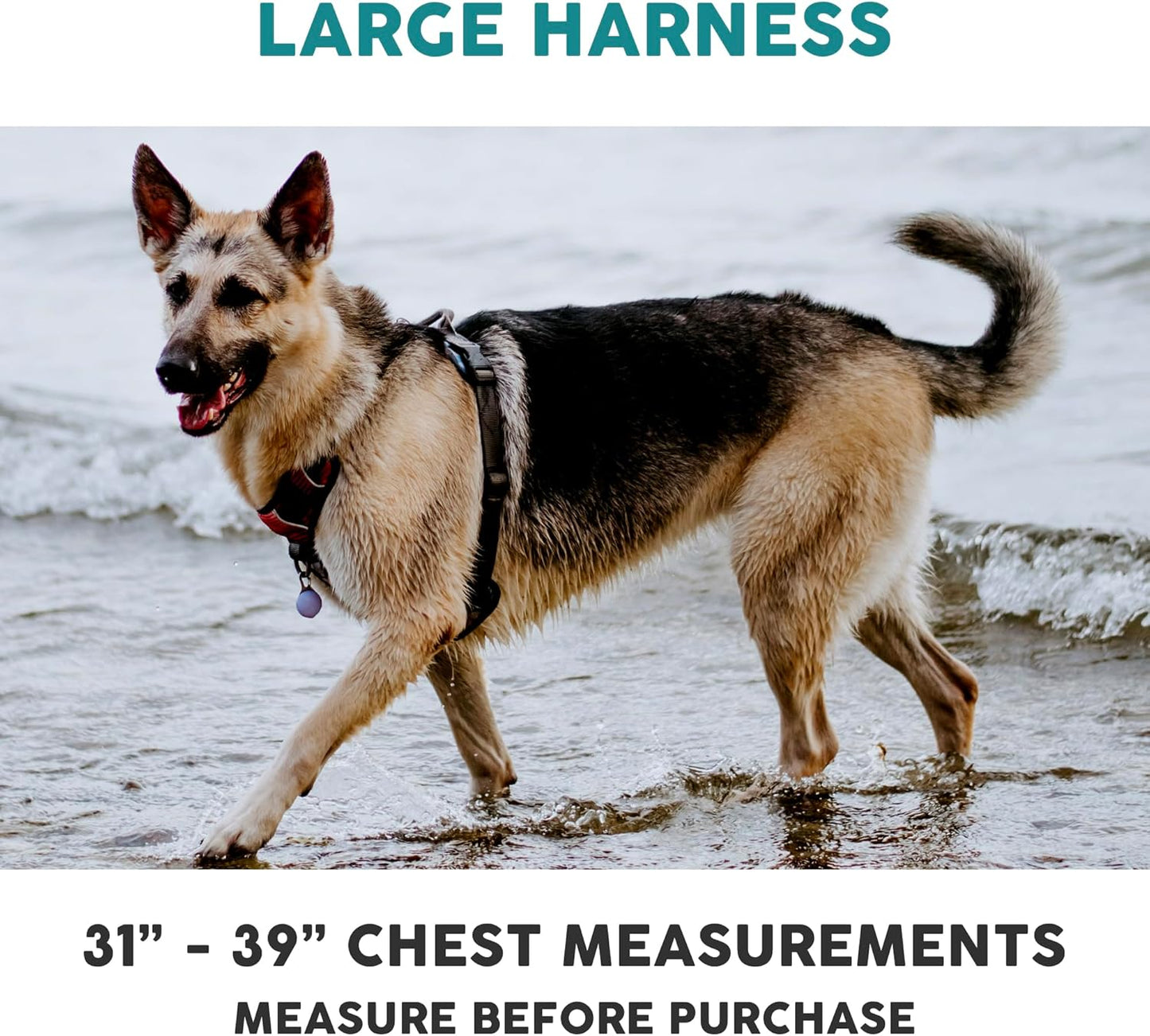 Embark Adventure Dog Harness, Reflective Trim No Pull Dog Harness for Large Dogs - Military Grade Nylon, Front Clip with Gel Lined Handle. Soft & Padded Puppy