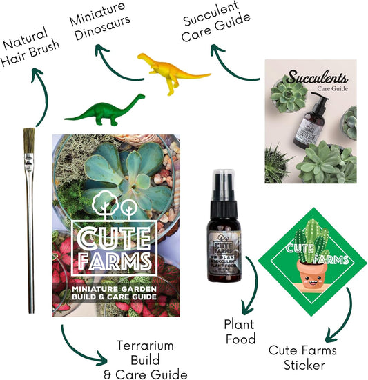 Cute Farms Terrarium Starter Kit | Moss, Vermiculite, Soil, Plant Food, Brush, Build and Care Guide | DIY Succulent Terrarium Kit for Adults and Kids
