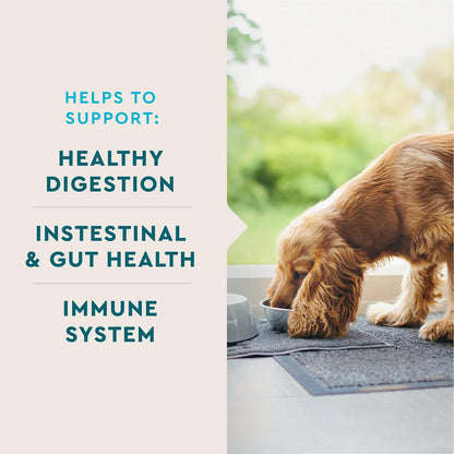 VetIQ Probiotic Supplement for Dogs, Digestive Support for Dogs, Nourishes Gut Bacteria and Supports Bowel Function, Hickory Smoke Flavor, Made in The USA, 180 Count