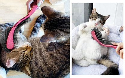 (Pink) Designed for Comfort, Created for Results. This innovative grooming brush features multi contoured bristles that gently adapt to your cats body for a stress-free brushing experience.