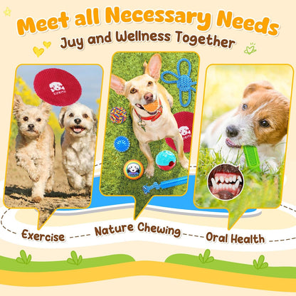 KIPRITII 25 Pack Various Puppy Dog Toys for Teething, Entertainment & Interaction, Puppy Chew Toys Pack with Rope Toy, Treat Balls and Dog Squeaky Toys for Puppies & Small Dogs