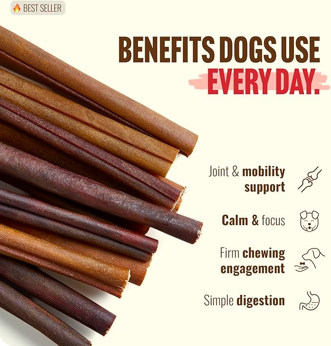Natural Farm Collagen Dog Chews (12 Inch, 5 Pack), Odor-Free Long Lasting Bully Sticks & Rawhide Alternative Dog Treats, 95% Collagen Low Fat, High Protein – Medium & Large Dogs