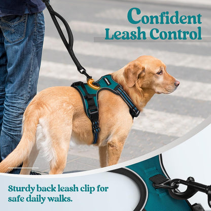 rabbitgoo Dog Harness No Pull with 2 Leash Clips, Adjustable Soft Padded, Reflective Oxford No Choke Pet Vest with Easy Control Handle for Large Dogs, Blue Coral, L